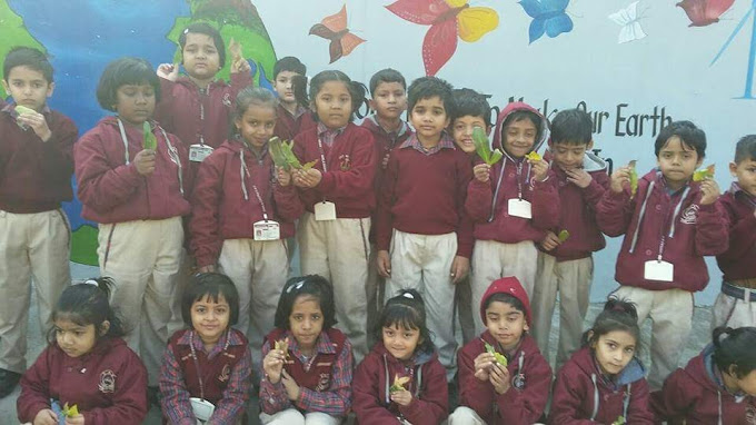 Sarla Chopra D.A.V. Public School 7