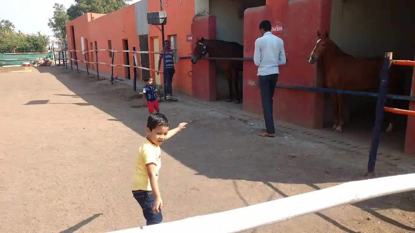 Sanskriti School 7