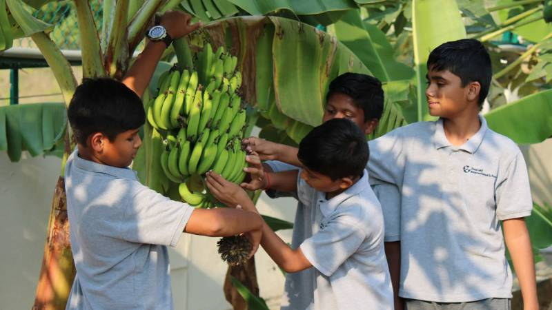 The Academic City School - Indore 17