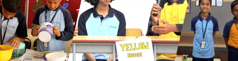 Treamis School 5