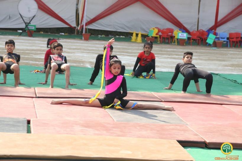 Delhi International School Edge 17