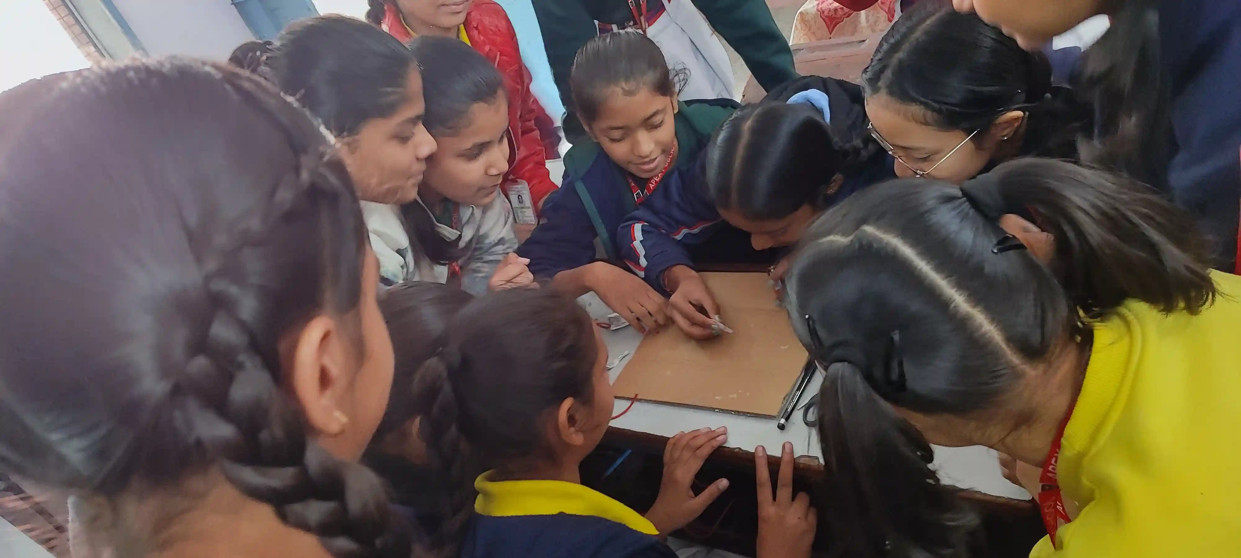 Apex Public School 6