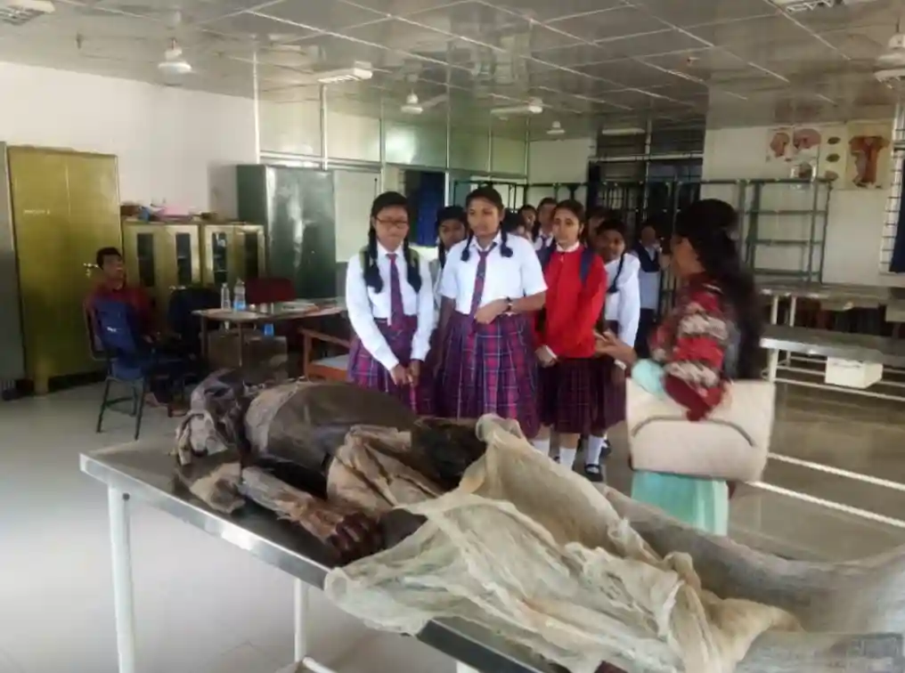 HAM Senior Secondary School 7