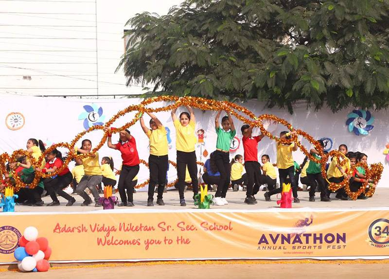 A.V.N Senior Secondary School 3