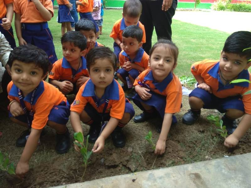 A.V.N Senior Secondary School 12