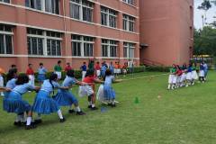 Adamas World School 10