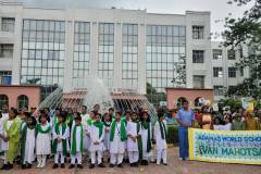 Adamas World School 11