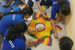 Adamas World School 8