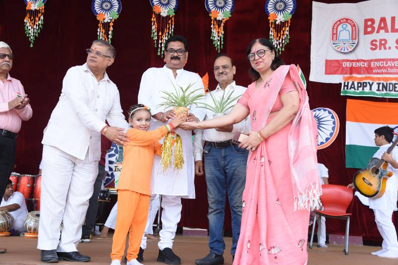 Bal Mandir Senior Secondary School 7