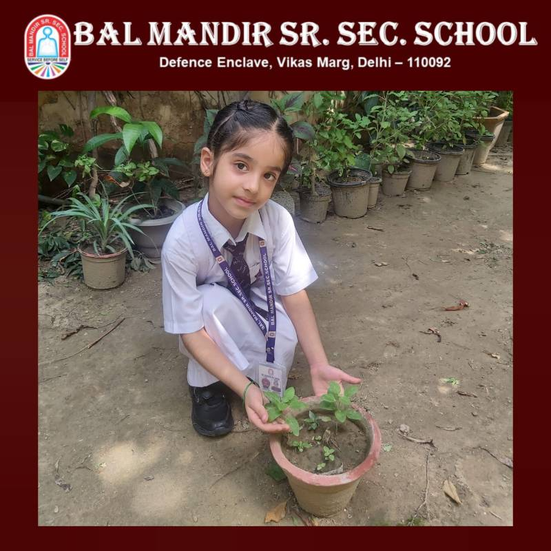 Bal Mandir Senior Secondary School 3