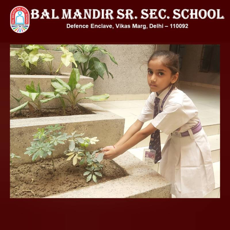 Bal Mandir Senior Secondary School 4