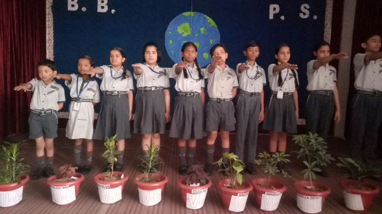 Blooming Buds Public School 2
