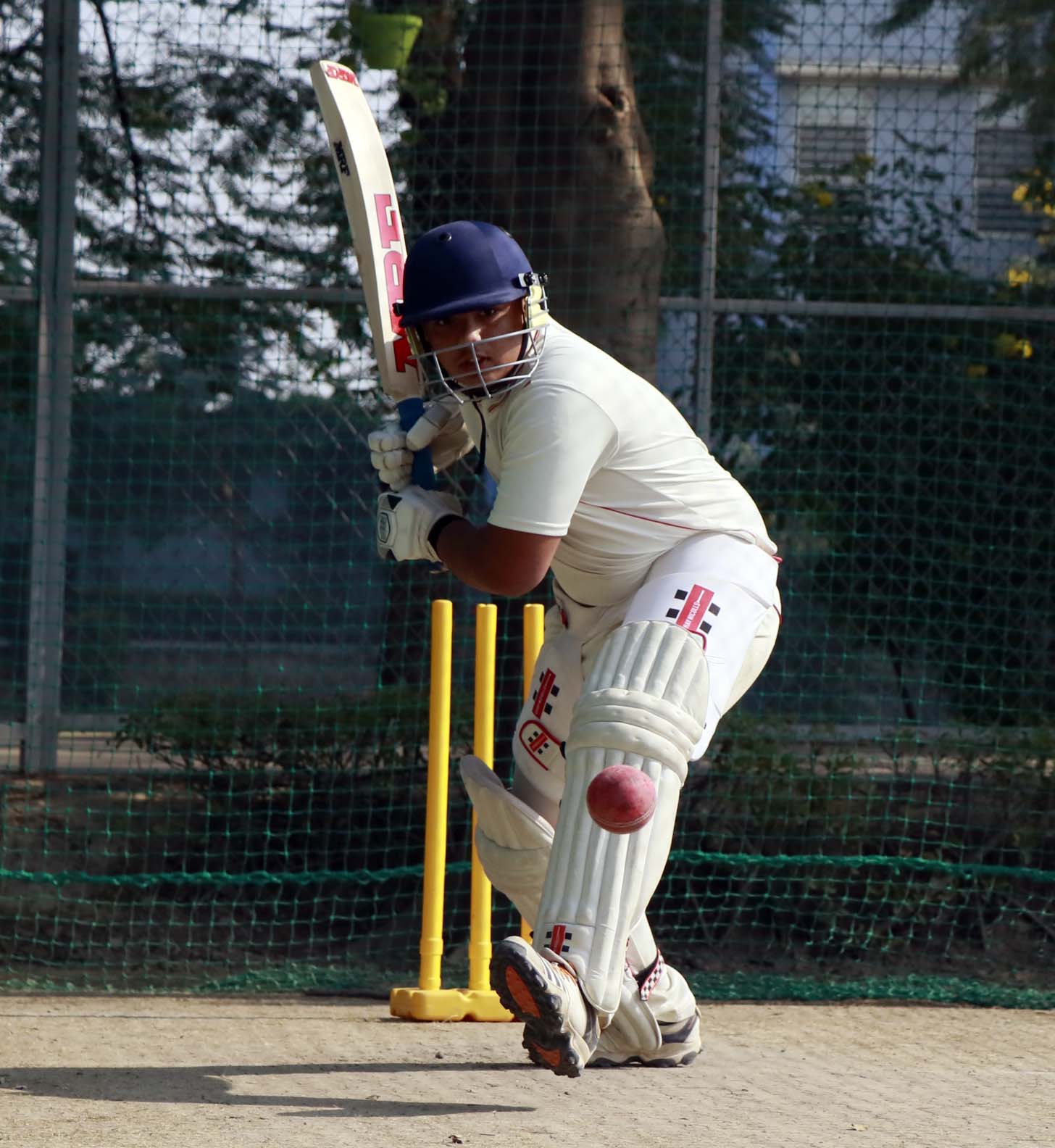 Delhi Public School 7
