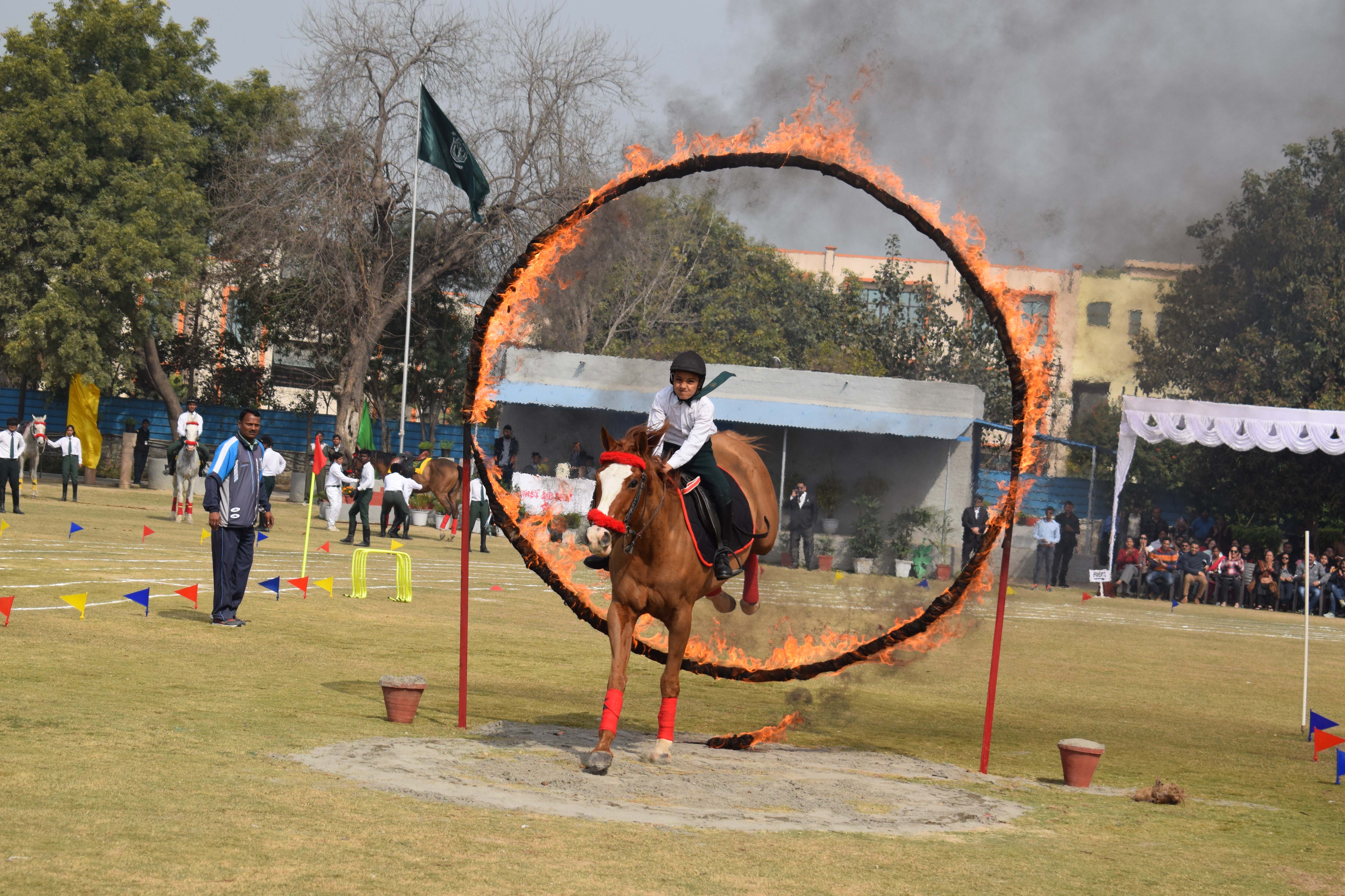 Delhi Public School 10