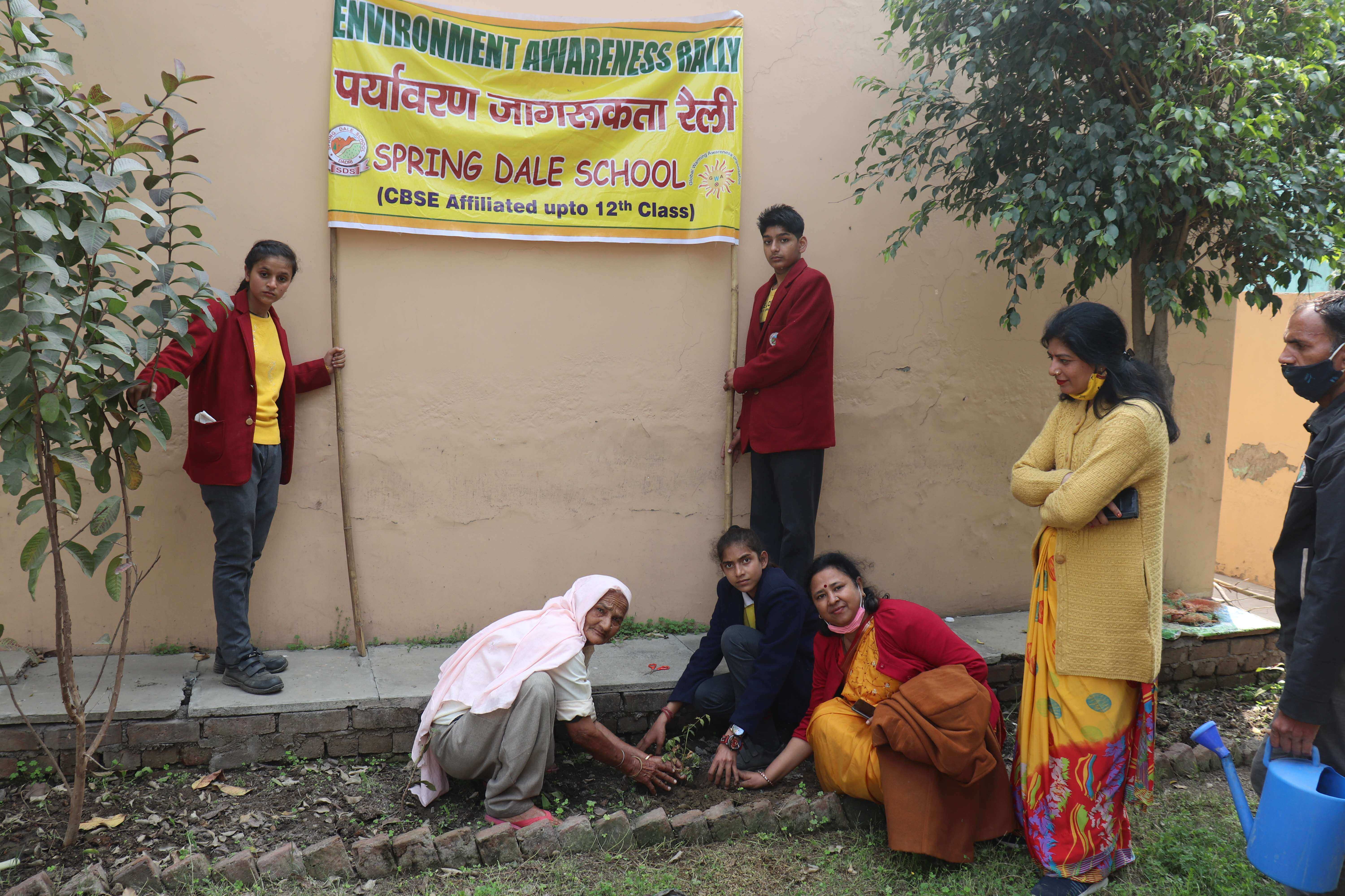 Spring Dale School 8
