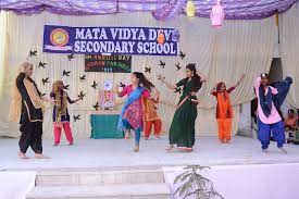 Mata Vidya Devi Public School 2