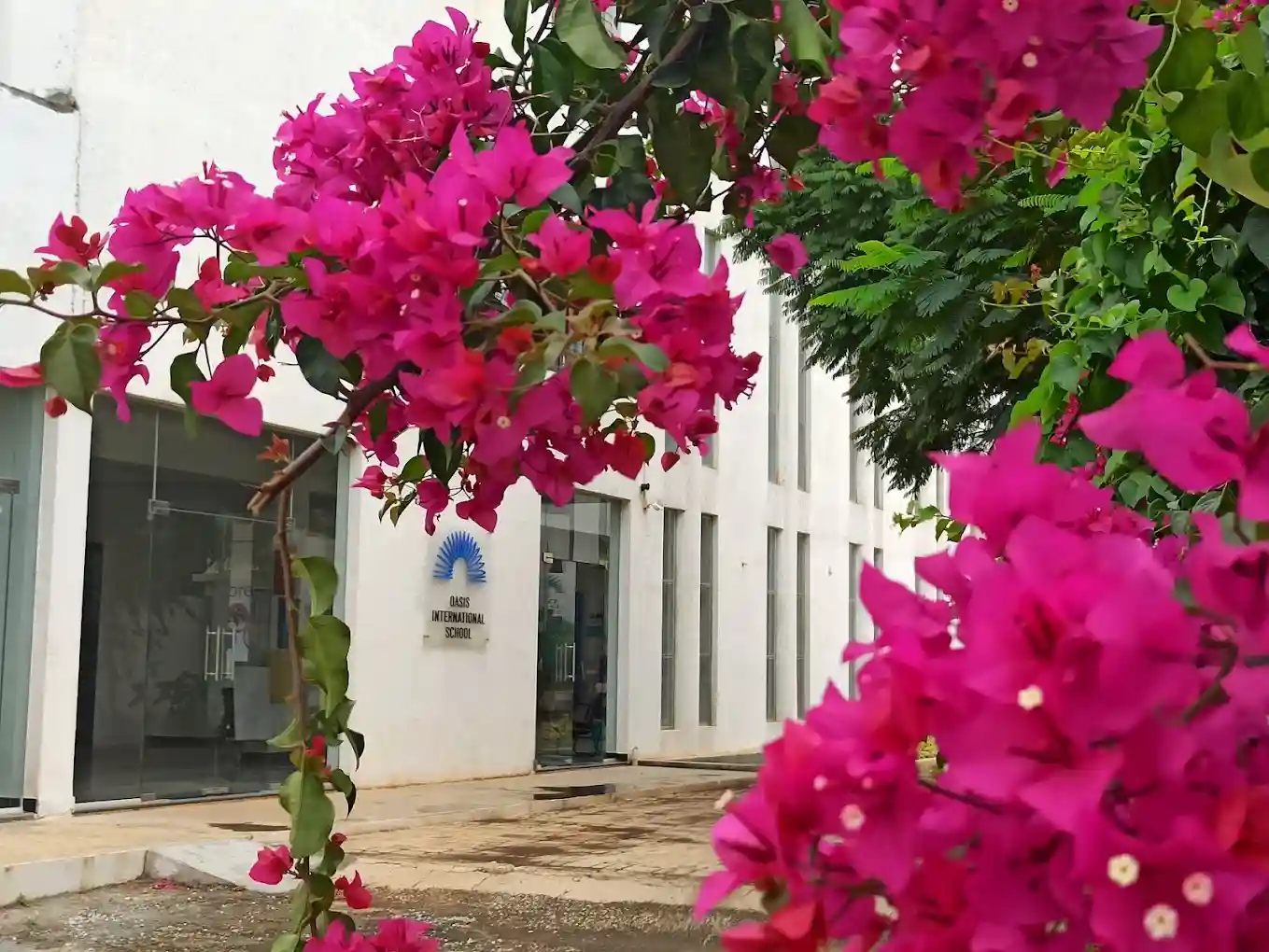 Oasis International School 9