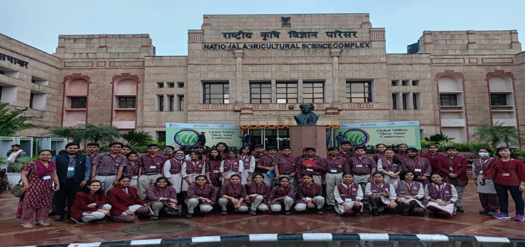 DAV Public School 10
