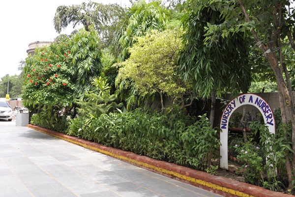 DAV Public School 7