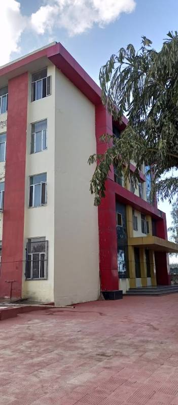 Delhi Public School 8