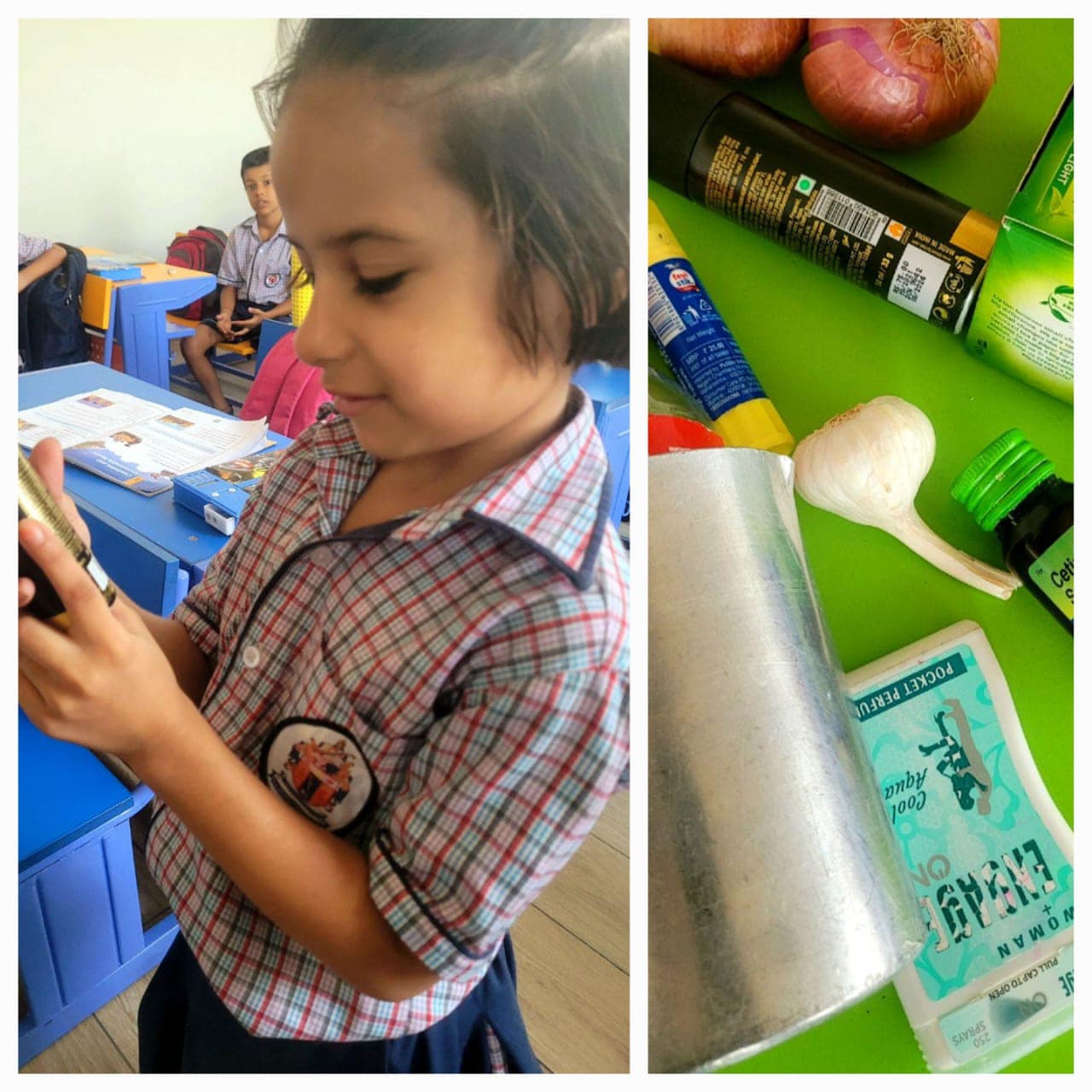 SN International School campus 5