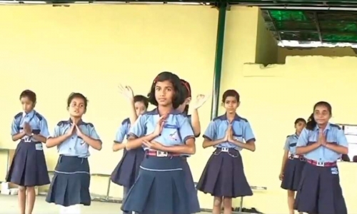 Apex Public School 2