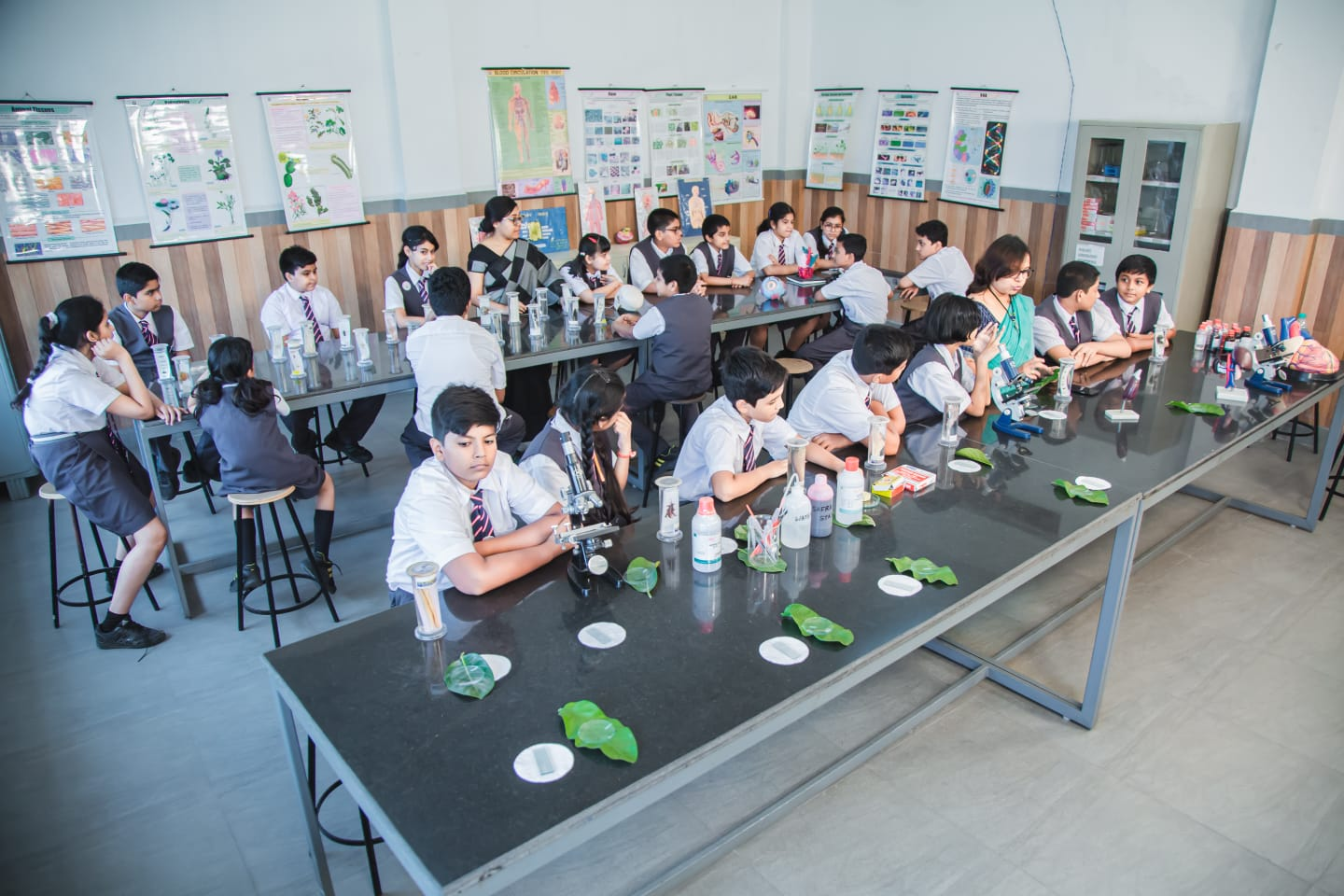Saini International School 6