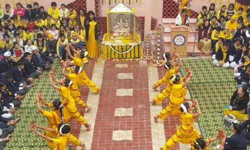 Banasthali Public School campus 3