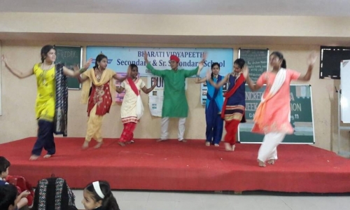 Bharati Vidyapeeth English Medium High School 2
