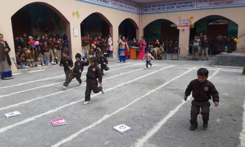 D.V.S. Public School campus 2