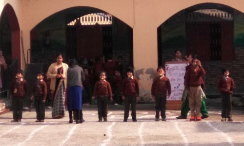 D.V.S. Public School campus 3