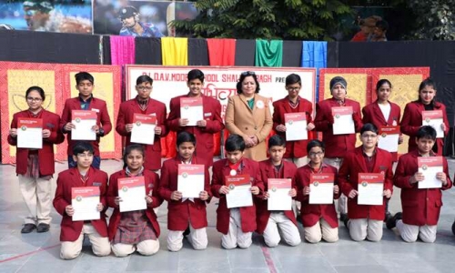 Darbari Lal DAV Model School campus 3