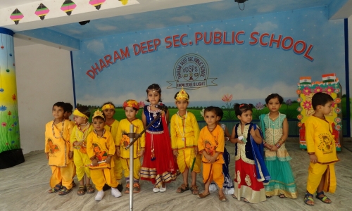 Dharam Deep Secondary Public School campus 2