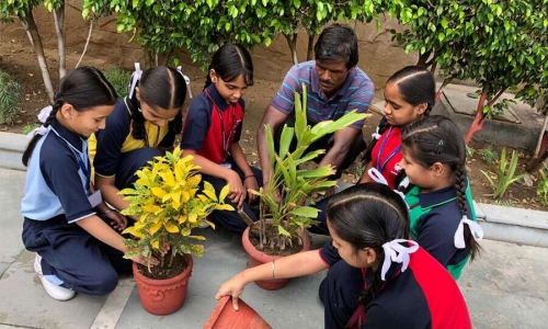 Gurusharan Convent School campus 6