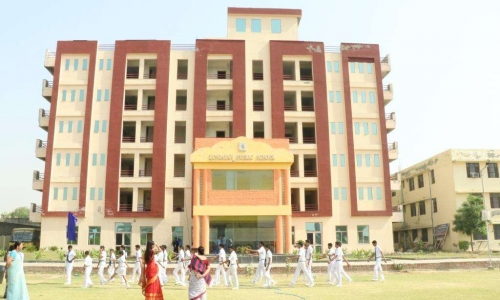 Lingaya's Public School 6