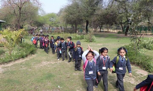 Mamta Modern Senior Secondary School 5