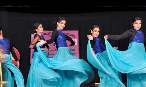 N. K. Bagrodia Public School 3