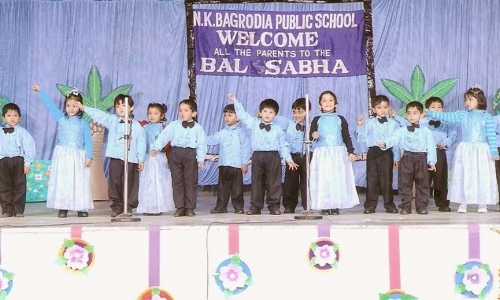 N.K. Bagrodia Public School 4
