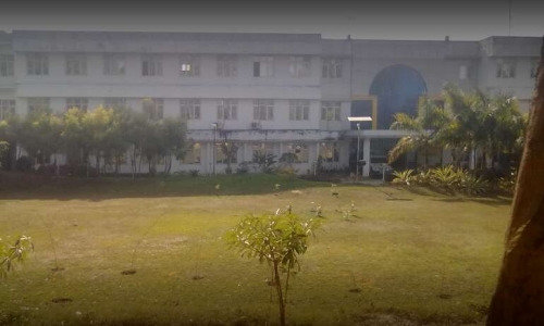 Saffron Public School 7