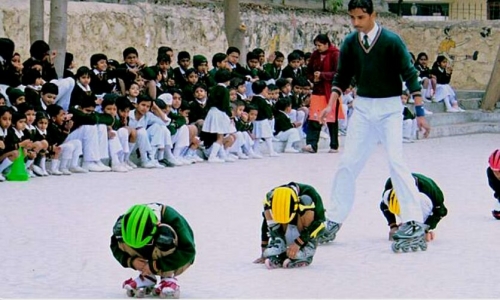 Saffron Public School 10