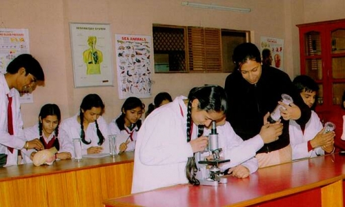 Saffron Public School 2