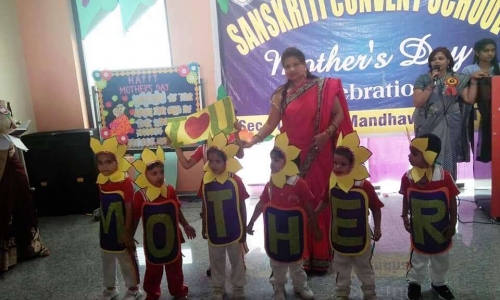 Sanskriti Convent School 4