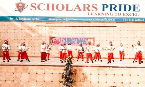 Scholars Pride 15