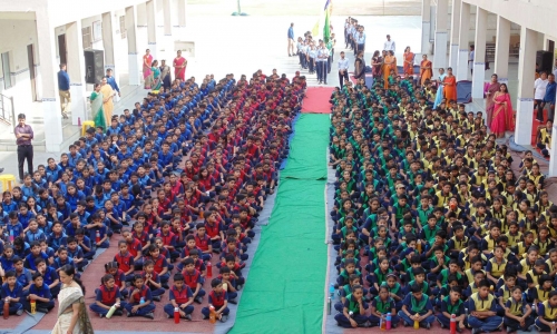 Scholars Pride 8