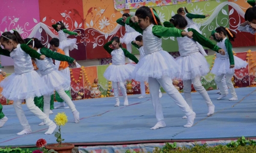 Shri Tula Ram Public School 2