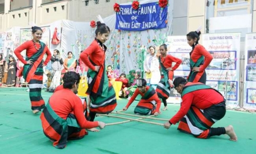 S.L.S DAV Public School campus 3