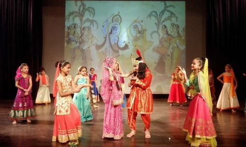 Vidya Mandir Public School 5
