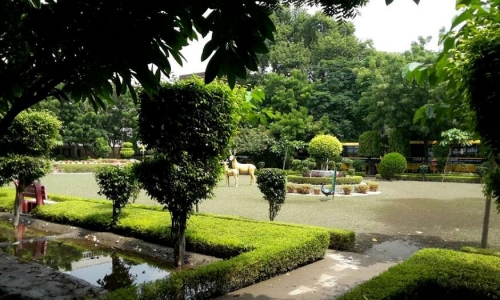 Vidya Mandir Public School 6