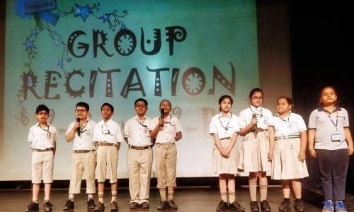 Vidya Mandir Public School 17