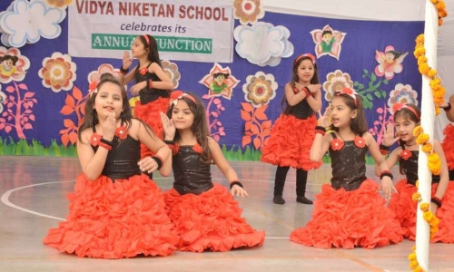 Vidya Niketan School 6
